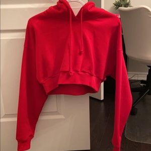 cropped aritzia hoodie